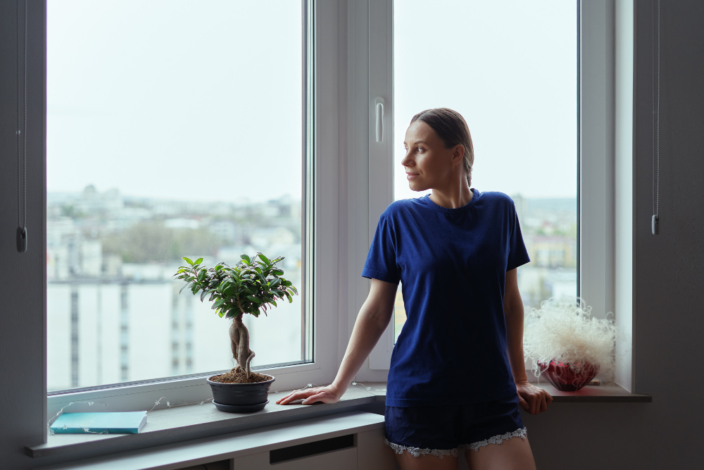 Frankfort Vinyl Windows